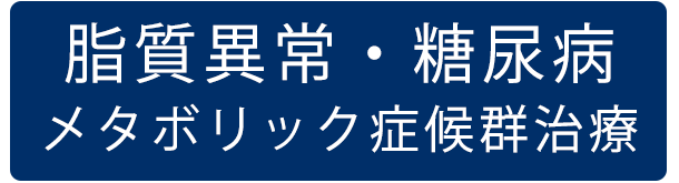 脂質異常・糖尿病・メタボリック症候群治療