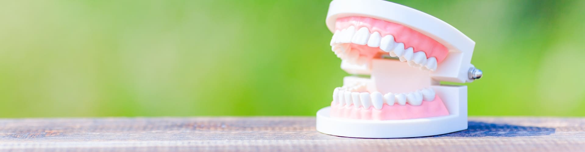 入れ歯のお悩み